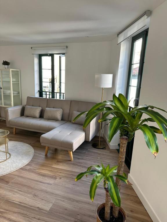 Apartamentos Urbanin II Plaza De San Pedro Cudillero Bagian luar foto